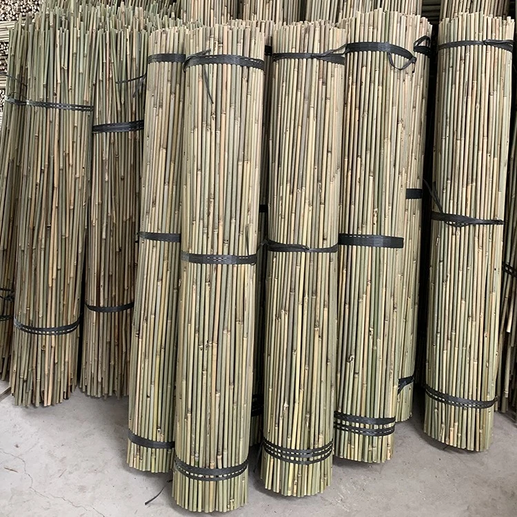 Tonkin Bamboo Canes for Farming Support and Gardening Decor